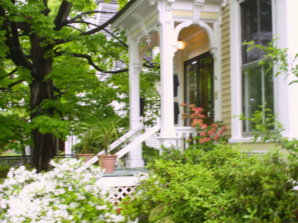 Parkside On Ellery Hotell Cambridge Eksteriør bilde